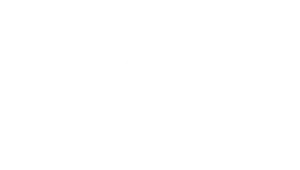 Department of Defense Logo