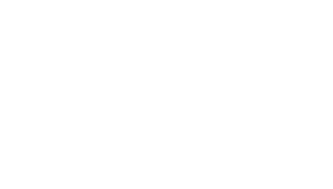 INA Logo